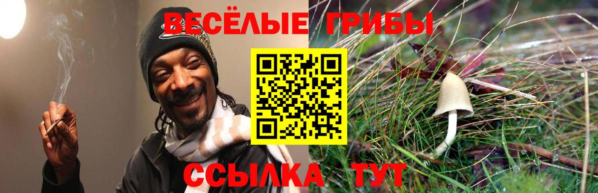 Галлюциногенные грибы MAGIC MUSHROOMS Гуково