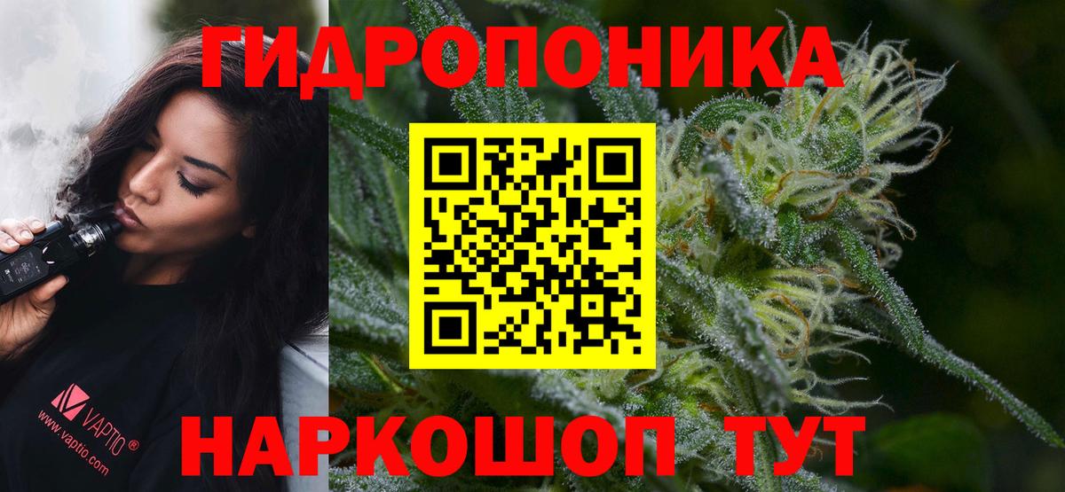 Бошки Шишки планчик  Вход с VPN  Бошки Шишки OG Kush  Марихуана план  Гуково 
